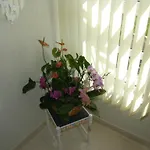 Slavica 1