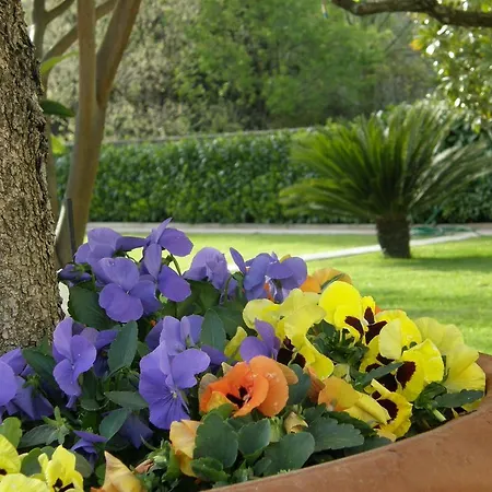 Διαμέρισμα Slavica 1 *