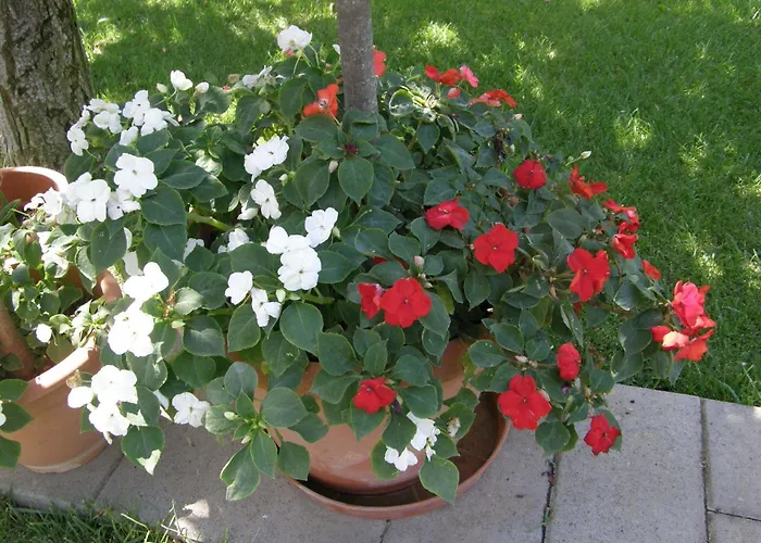 Apartamento Slavica 1 *